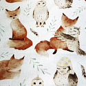 Tissu coton au métre imprimé Ecureuil et Hibou couleur blanche