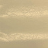 Simili cuir glacé au mètre, 380 g/m², largeur 145 cm, ecru