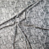 Tissu Minky, micro peluche, 380 gr/m2, largeur 155 cm,, motif Chat, coleur Grise
